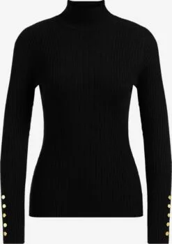 WE FASHION Pulls Basiques Pull-over Femme Noir