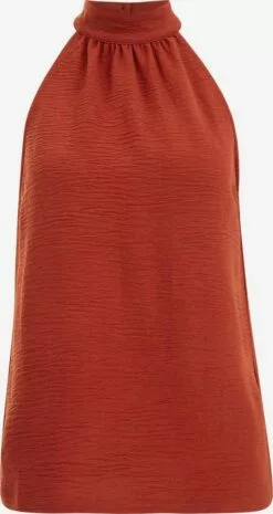 WE FASHION Blouses Chemisier Femme Rouge