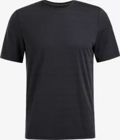 WE FASHION T-shirts Et Débardeurs T-Shirt Fonctionnel Homme Anthracite