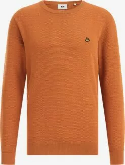 WE FASHION Pulls à Col Rond Pull-over Homme Orange