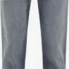 WE FASHION Slim Coupe Slim Jean Homme Gris