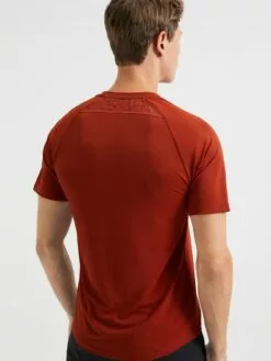 WE FASHION T-shirts T-Shirt Homme Rouge Rouille 6 WE FASHION T-shirts T-Shirt Homme Rouge Rouille -WE FASHION Magasin En Ligne 1cd72aecfb71af6bcb3b6e49a2790edc