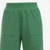 WE FASHION Shorts Regular Pantalon Femme Vert
