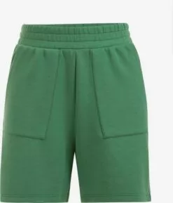 WE FASHION Shorts Regular Pantalon Femme Vert