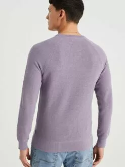 WE FASHION Pulls à Col Rond Pull-over Homme Violet Pastel -WE FASHION Magasin En Ligne 2f84fcb31d02dbb3a47d84ed8af92973