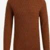 WE FASHION Pulls à Col Roulé Pull-over Homme Marron