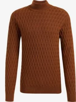 WE FASHION Pulls à Col Roulé Pull-over Homme Marron