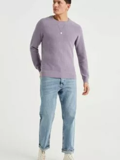 WE FASHION Pulls à Col Rond Pull-over Homme Violet Pastel -WE FASHION Magasin En Ligne 34be162d3d755f745d9731b19a3e7825