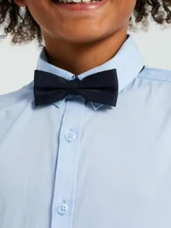 WE FASHION Chemises Coupe Regular Chemise Enfants Bleu Clair -WE FASHION Magasin En Ligne 36bfba7ab78bfd8004deb87ac090fc7e