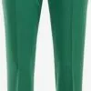 WE FASHION Pantalons Regular Pantalon à Plis Femme émeraude