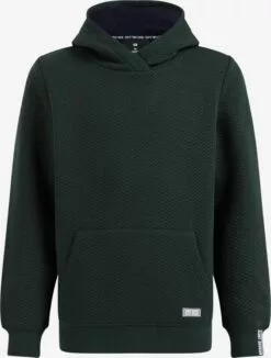 WE FASHION Sweats Sweat Enfants Vert Foncé