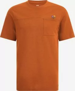 WE FASHION T-shirts T-Shirt Homme Rouille