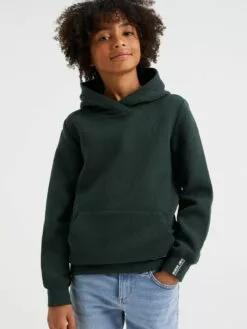 WE FASHION Sweats Sweat Enfants Vert Foncé -WE FASHION Magasin En Ligne 8a0d4d54fdc9b9df51315b7ee2ee324c