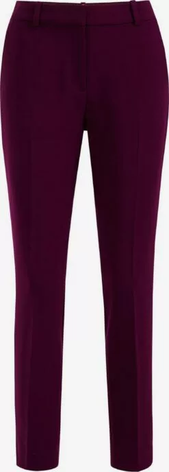 WE FASHION Pantalons Regular Pantalon à Plis Femme Baie