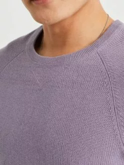 WE FASHION Pulls à Col Rond Pull-over Homme Violet Pastel -WE FASHION Magasin En Ligne 95a93909bf9110507b60d9da64eb0c17
