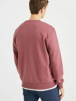 WE FASHION Sweatshirts Sweat-shirt Homme Violet 9 WE FASHION Sweatshirts Sweat-shirt Homme Violet -WE FASHION Magasin En Ligne 9d052ce08ba726d677bb39f21f96de21