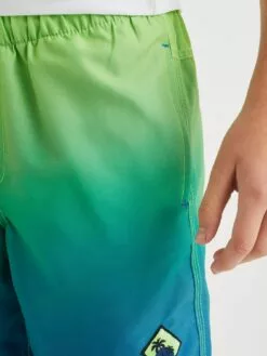 WE FASHION Maillots De Bain Shorts De Bain Enfants Vert Clair -WE FASHION Magasin En Ligne a6fa89f4580ef5a801e81e7a2fcdaca6