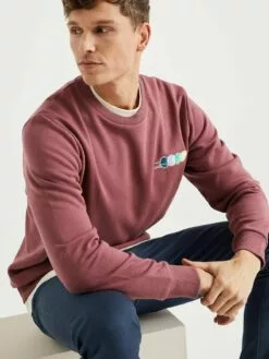 WE FASHION Sweatshirts Sweat-shirt Homme Violet 8 WE FASHION Sweatshirts Sweat-shirt Homme Violet -WE FASHION Magasin En Ligne acb9bacd68567fe91d39fc324db1bef2