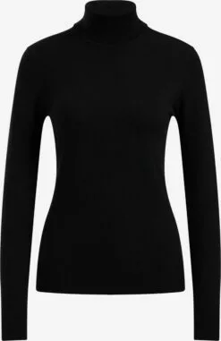 WE FASHION Pulls à Col Roulé Pull-over Femme Noir