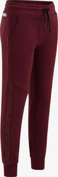 WE FASHION Pantalons Effilé Pantalon Enfants Rouge Foncé -WE FASHION Magasin En Ligne b32f0997684cc236ef8e8dc9e220e3a4