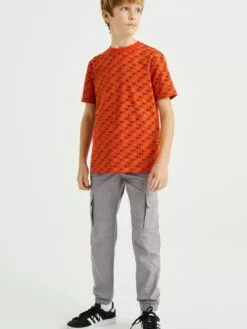 WE FASHION Pantalons Effilé Pantalon Enfants Gris Clair -WE FASHION Magasin En Ligne c5cb66b26c7253f95810dbbe8dad0441