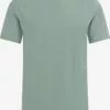 WE FASHION T-shirts T-Shirt Homme Menthe