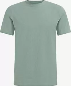 WE FASHION T-shirts T-Shirt Homme Menthe
