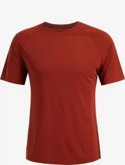 WE FASHION T-shirts T-Shirt Homme Rouge Rouille