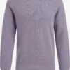 WE FASHION Pulls à Col Rond Pull-over Homme Violet Pastel