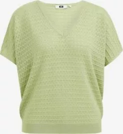 WE FASHION Pulls Maille Fine Pull-over Femme Vert Clair