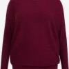 WE FASHION Pulls Basiques Pull-over Femme Lie De Vin