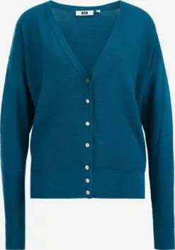 WE FASHION Gilets Cardigan Femme Bleu