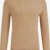 WE FASHION Pulls à Col Roulé Pull-over Homme Sable