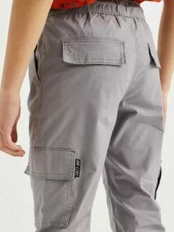 WE FASHION Pantalons Effilé Pantalon Enfants Gris Clair -WE FASHION Magasin En Ligne ff9884350a055aacd2fd6d0cd0de1e2e
